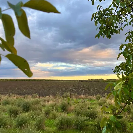 Kishaz Hébergement de vacances *