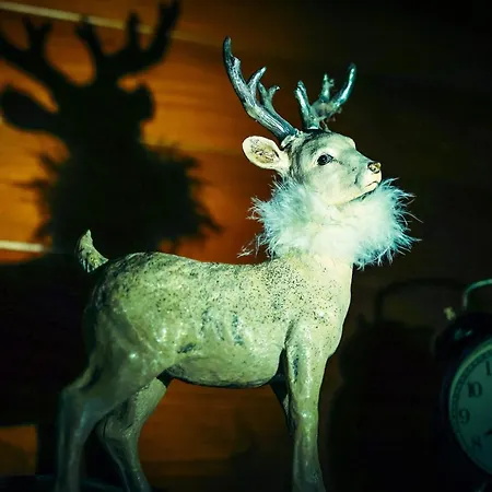 Kishaz Hébergement de vacances Gárdony