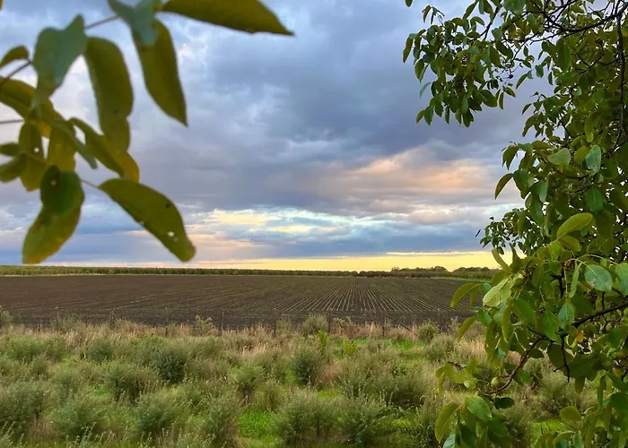 Kisház Casa de Férias *